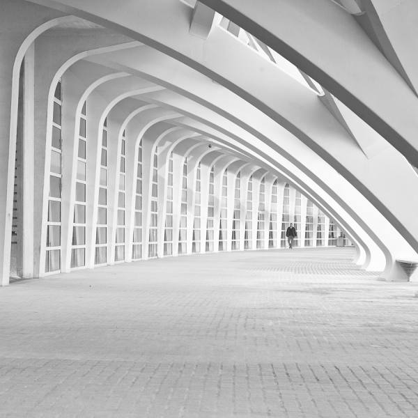 Photograph Della Latta Massimo  Calatrava Park on One Eyeland